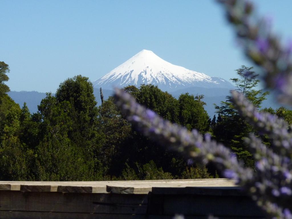 Lodge El Taique Puyehue Buitenkant foto